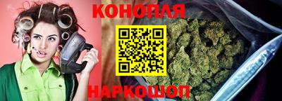 шишки Свободный