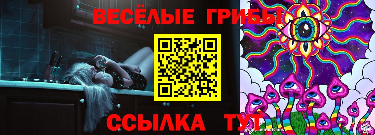 Псилоцибиновые грибы Psilocybe Снежинск