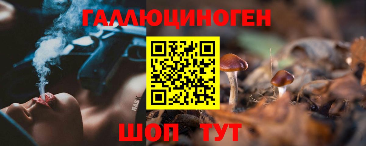 Снежинск  как найти   Вход с VPN  Галлюциногенные грибы прущие грибы 